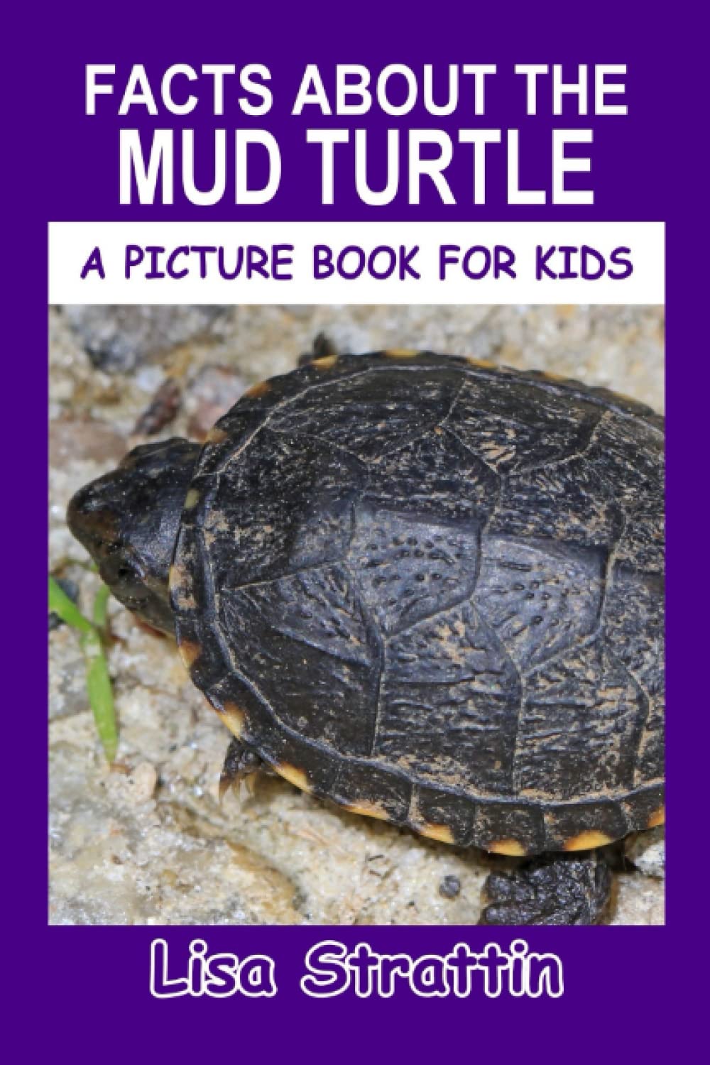 Facts About the Mud Turtle