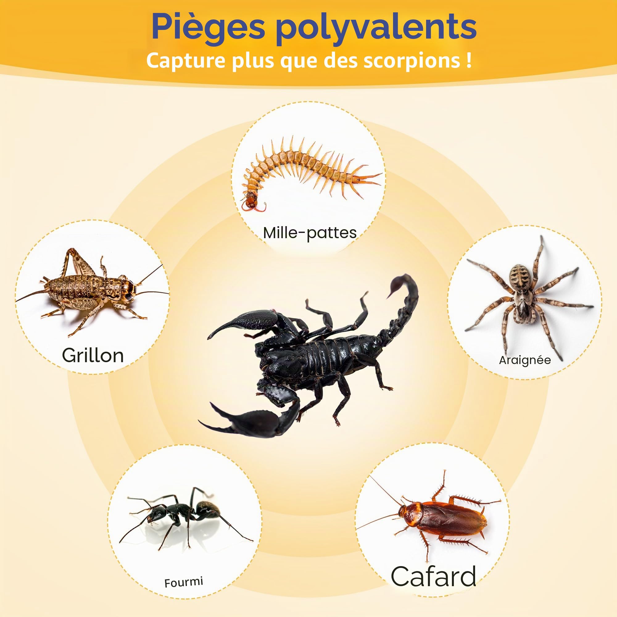 Qualirey Lot de 18 pièges à colle Scorpion, adhésif double face puissant
