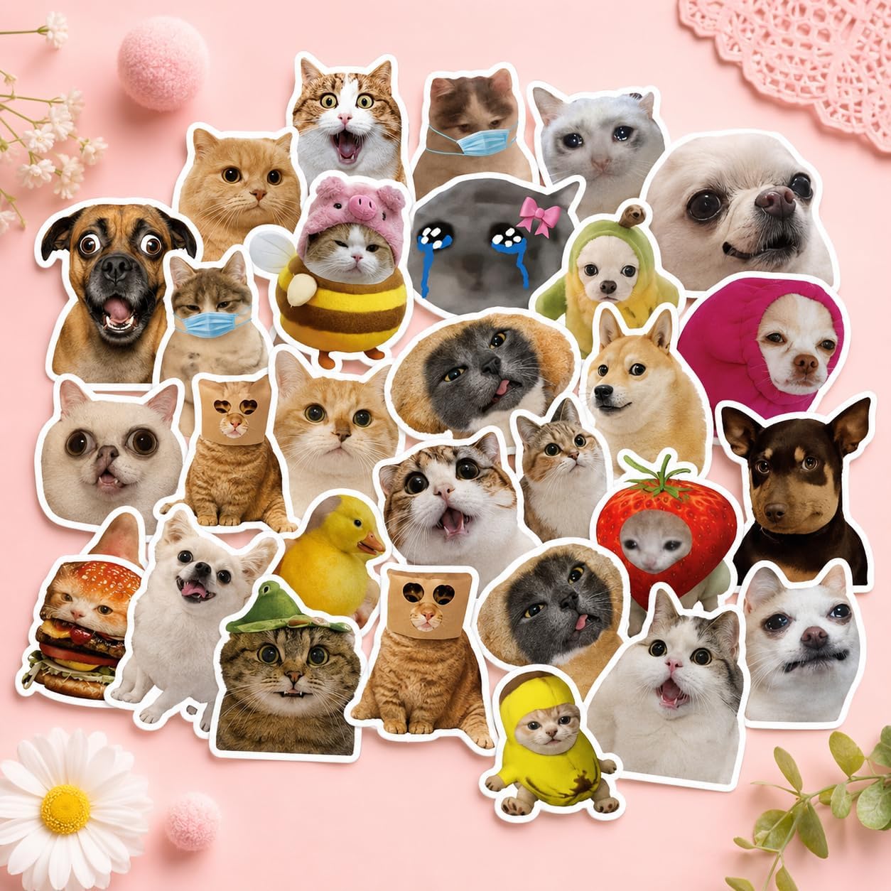 50 Pack Funny Stickers, Cat and Dog Meme Sticker Pack, Decorative Decal Set