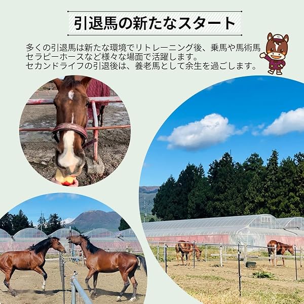 [テレビ番組で紹介されました！] ホースプロジェクト 3S 馬を愛する2,000人以上の方にサポートされています！ 引退馬 応援 活動 プログラム 競走馬 競馬 救いたい命があります (JRA 馬主2019年発足) (感謝状/メンバーズカード/しあわせの蹄鉄) - 4