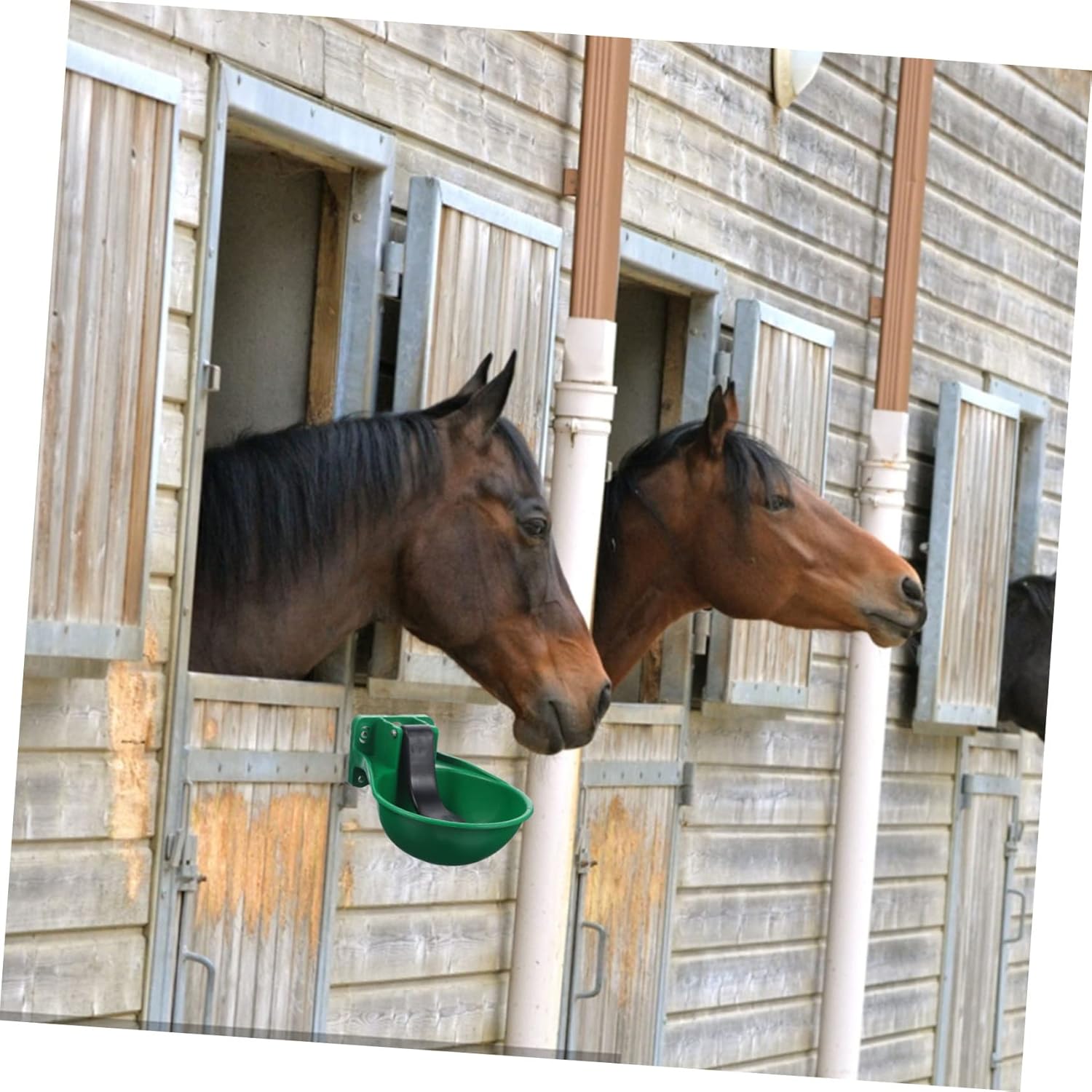 Animal Drinking Tool Automatic Drink Bowl for Cattle Livestock Water Feeder Large Capacity Easy Use