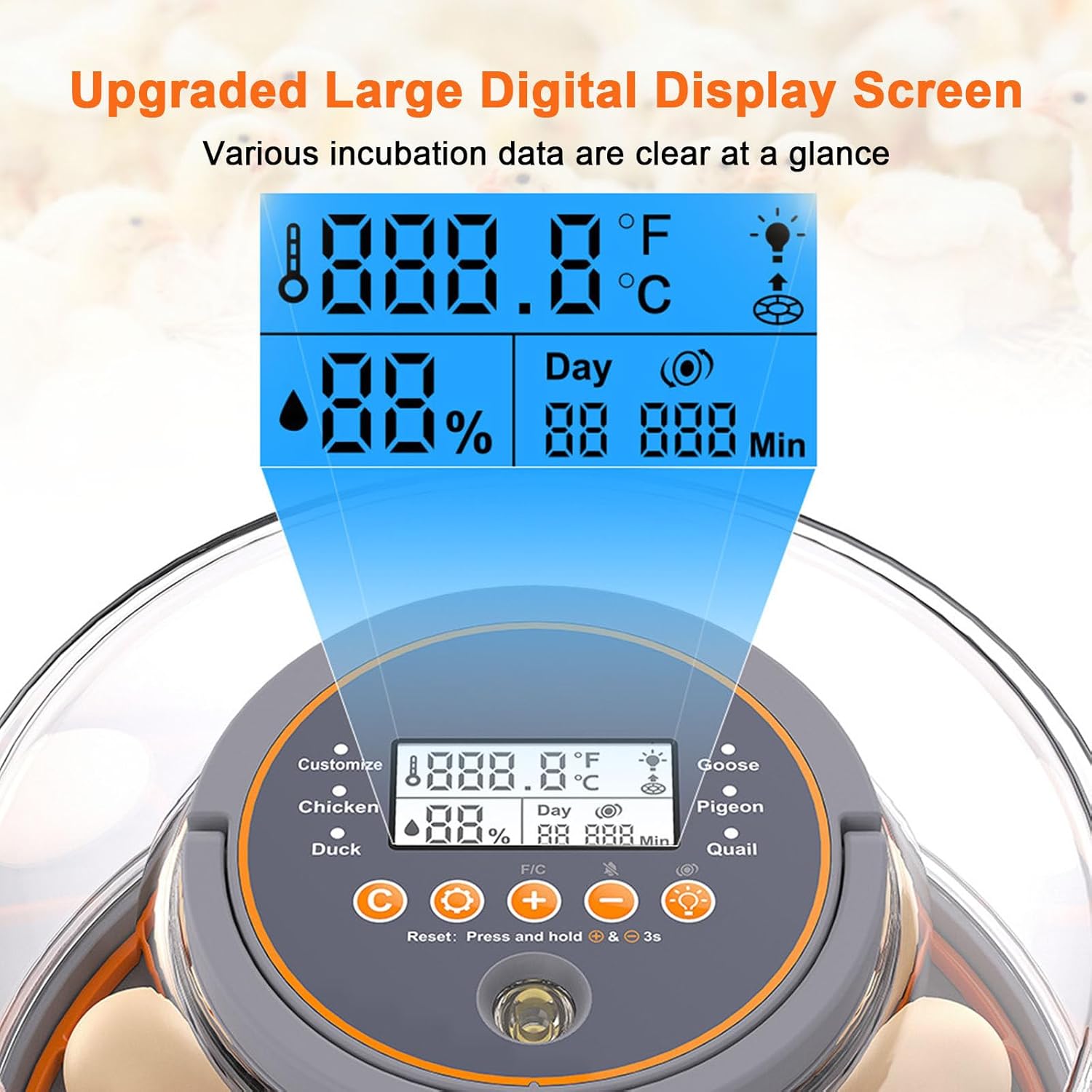 Automatic Egg Incubator for Hatching 12 Eggs - LED Egg Candler, Automatic Turning for Chicken, Duck, Goose, Quail, Parrot - Ideal for Home Use