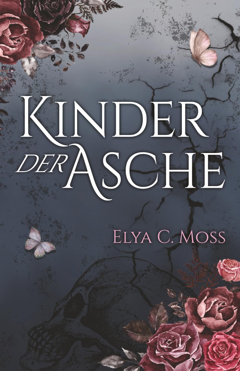 Kinder der Asche (Die Elmirin-Chroniken)