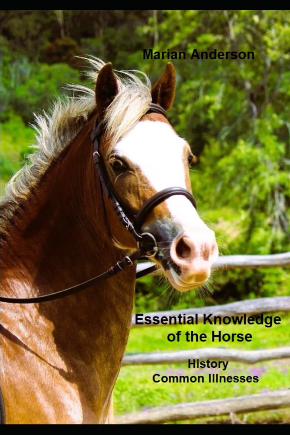 Essential Knowledge of the Horse: History and Common Illnesses