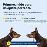 Ver la foto 8