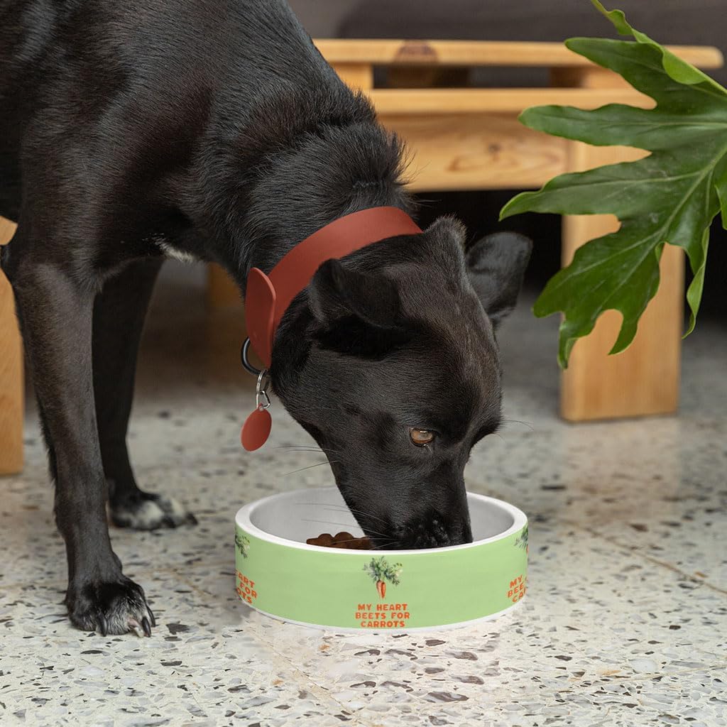 My Heart Beets for Carrots Pet Bowl - Cute Pet Items - Carrot Lovers Pet Gifts