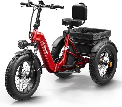 Electric Trike for Adult with 960W Peak Motor, 48V 17.4AH