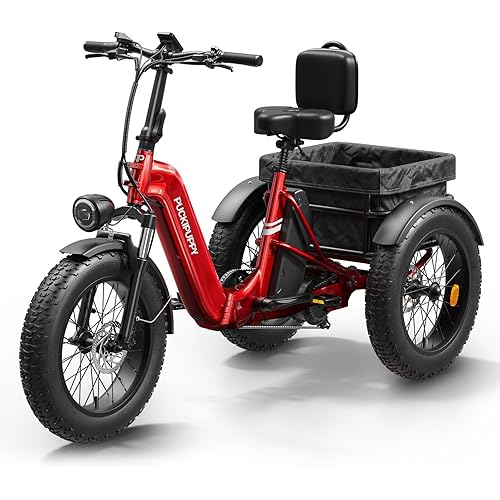 Electric Trike for Adult with 960W Peak Motor, 48V 17.4AH Cells Battery, Pickup Class 500 LB Load Electric Tricycle with 20" Fat Tire and Large Basket, 60 Miles Range, for City and Mountain Road