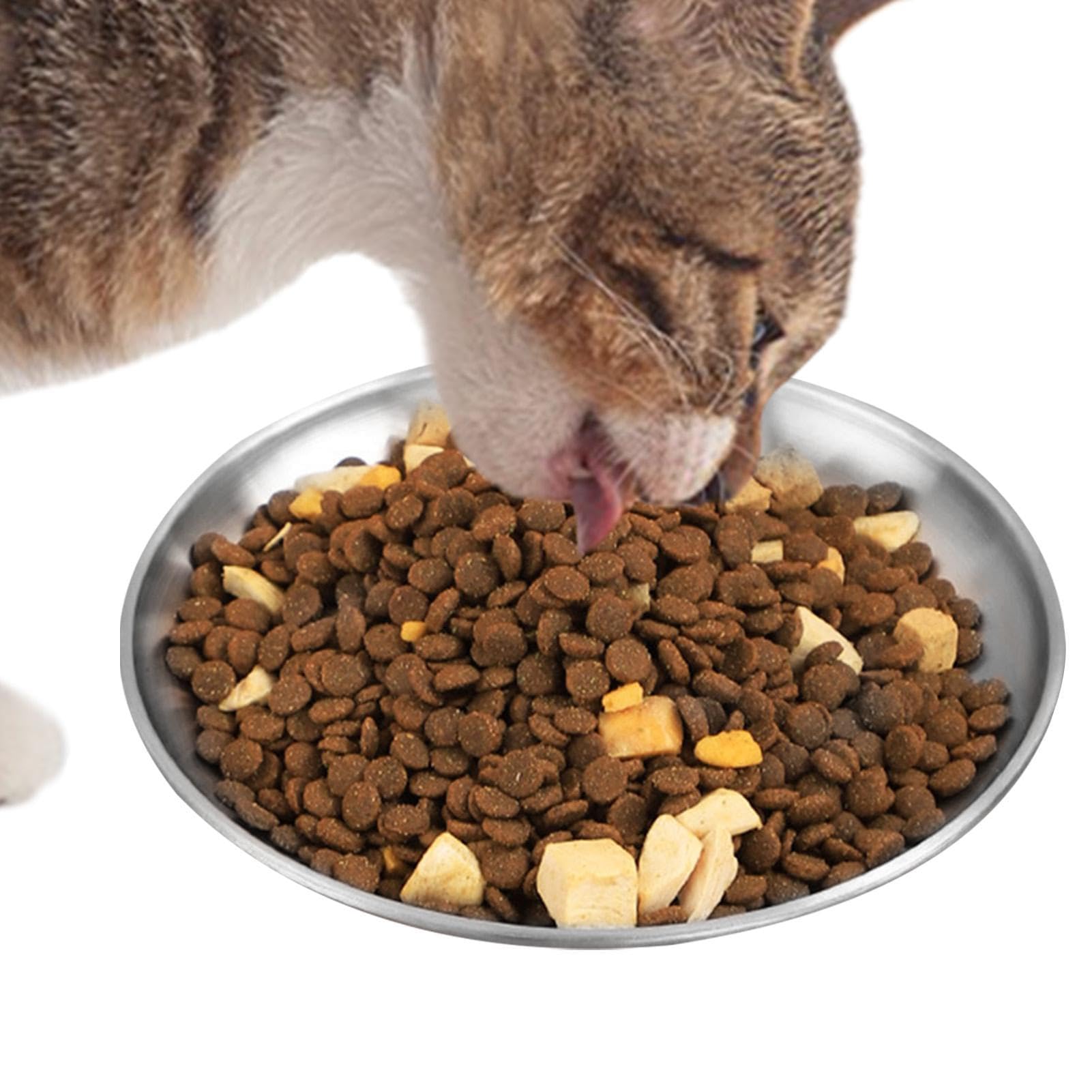 Assiettes peu profondes en inox pour nourriture pour chats - Finition Premium