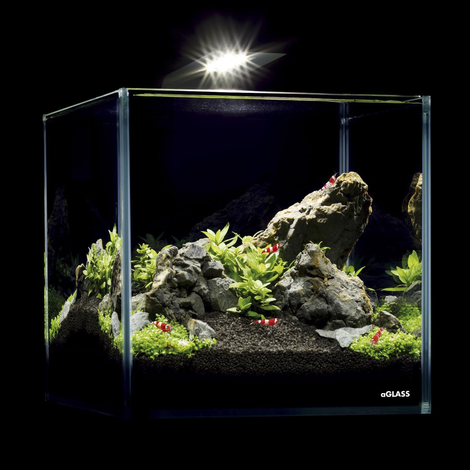 AquaLighter Nano-Aquarium 10 l Set aus Weißglas, mit LED-Beleuchtung und Filter