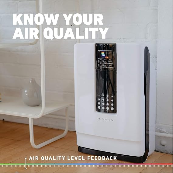 HATHASPACE HSP001 True HEPA Air Purifier