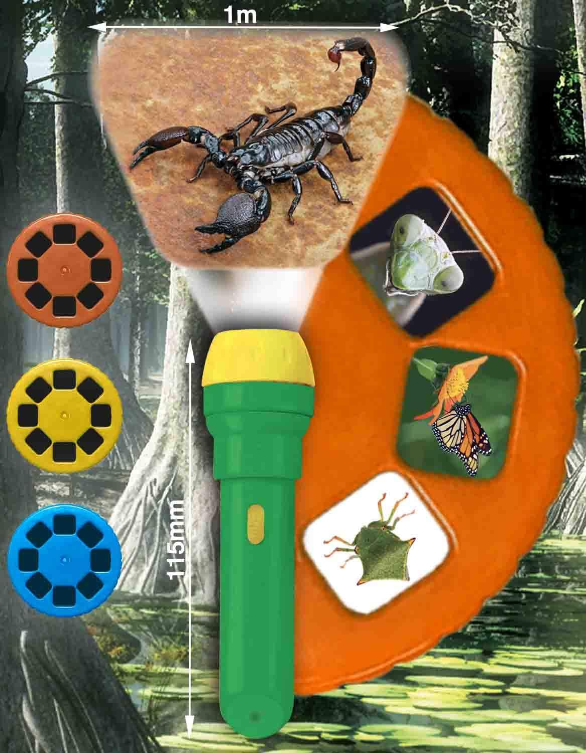 Natural History Museum Creepy Crawly Torch and Projector, Multi, One Size
