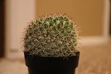 Review Image by sandra morris sandra morris