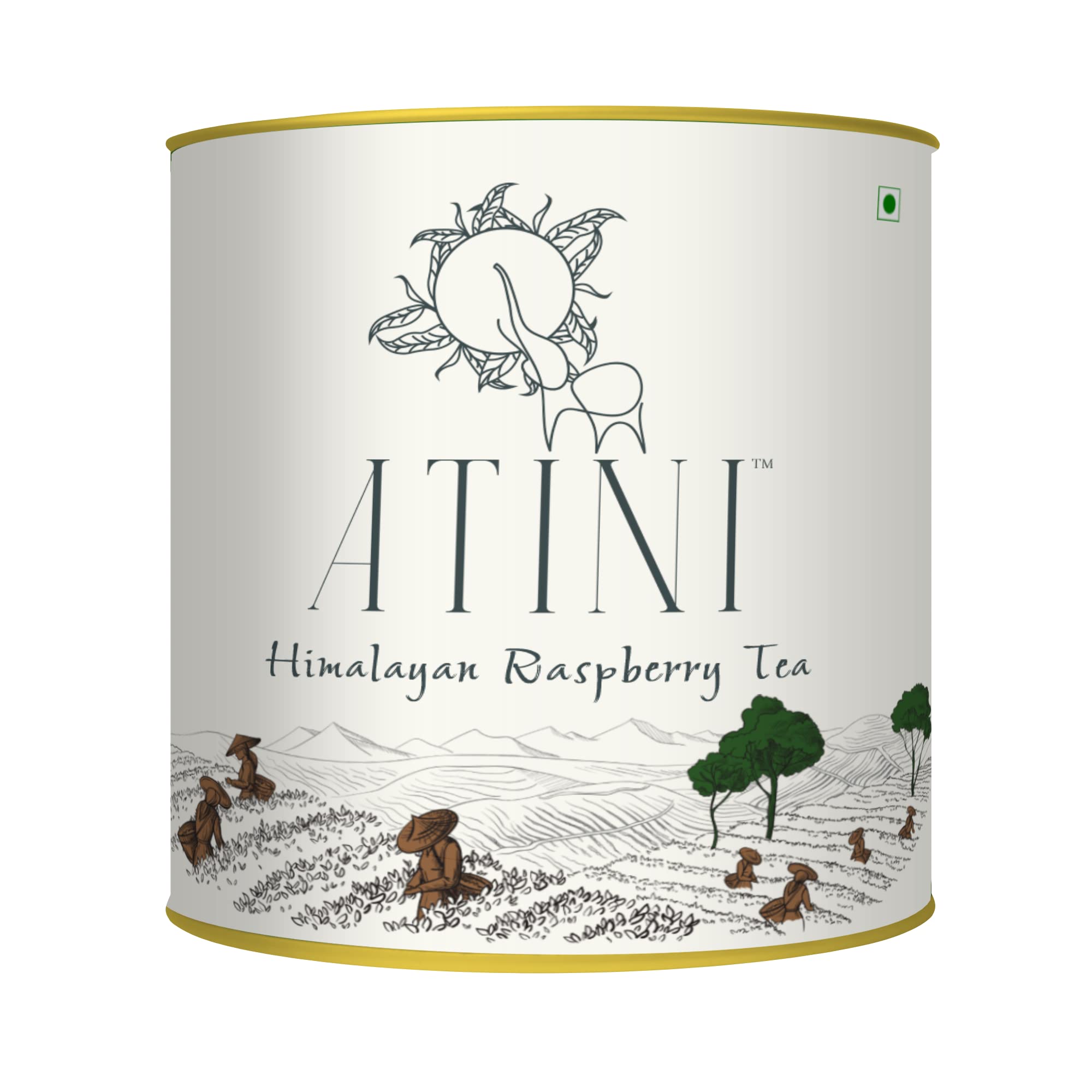 Atini Raspberry Herbal Tea - Sweet and Tangy Flavour | Natural Relief for Menstrual Pain | Keeps Hydrated and Supports Healthy Immune System (35gm)