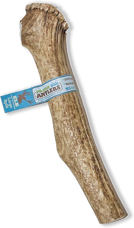 amazon antler chews