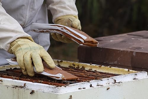Miniatura 4 de Empanadas de polen para abejas al 15 %  Paquete de 2  1 libra cada uno (peso aproximado)  Suplemento alimenticio de polen de proteínas para abejas