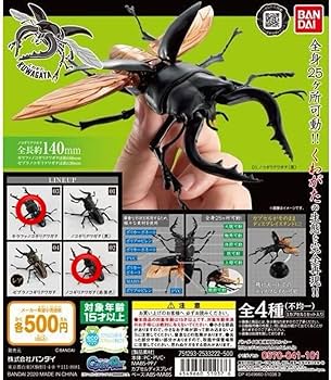 Amazon.co.jp: セット ギラファノコギリクワガタ ノコギリクワガタ（赤