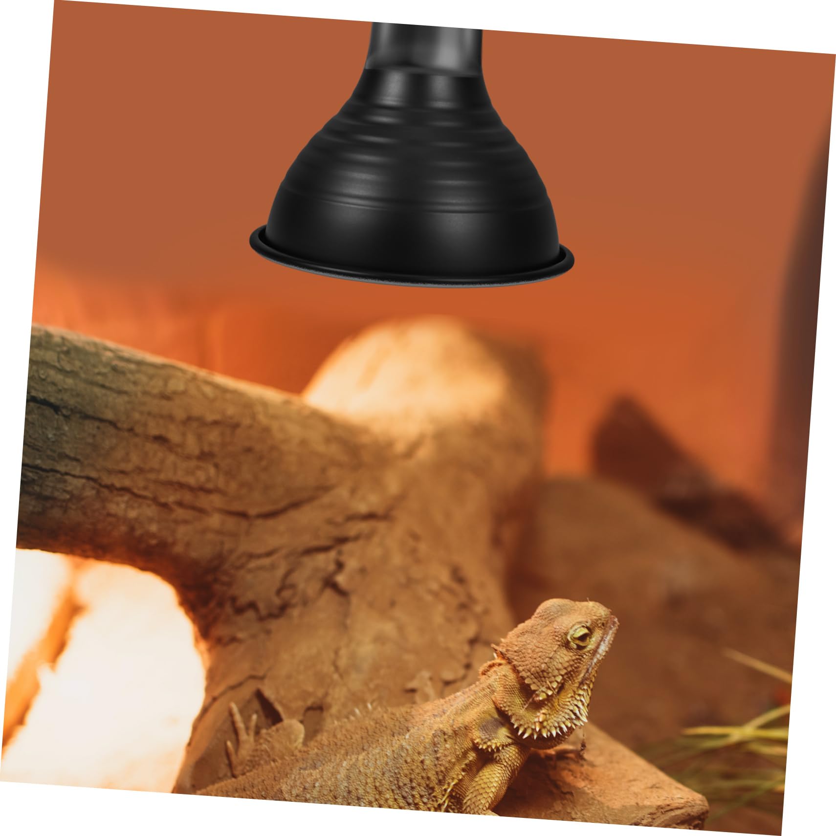 PRETYZOOM 5piezas Lámpara Reflectora para Reptiles Pantalla Aislante y Eficiencia Energética Soporte Terrarios y Calefacción De Reptiles