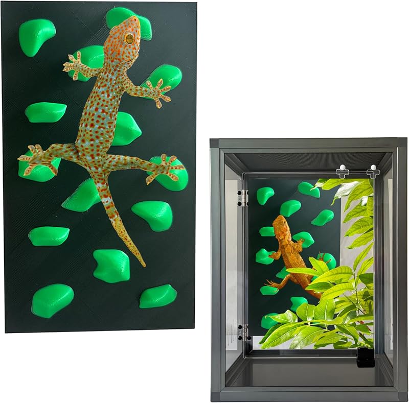Parede de Escalada para Répteis em Terrário, Acessório Decorativo Verde Okueejur