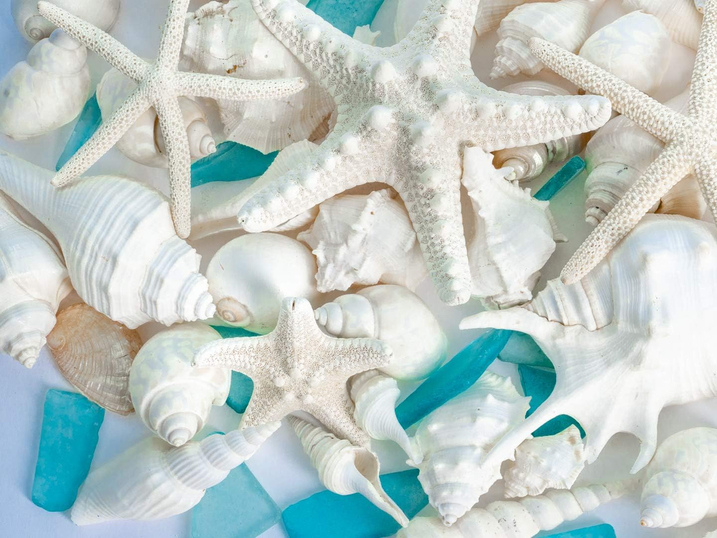 White Mixed Beach Seashells 2lb with Starfish & Sea Glass – Real Sea Shells for Crafts, Ocean Décor, Seashell Decorations, Coastal Home Accents, Large Shells for DIY, Beach Weddings & Parties
