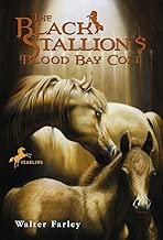 The Black Stallion's Blood Bay Colt: (Reissue)