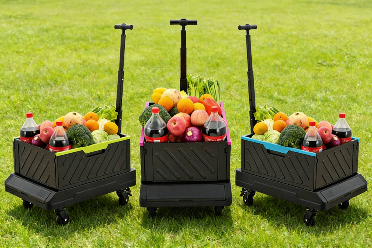 Carrito Utility Plegable TRULYWIN con Ruedas 60KG miniatura 7