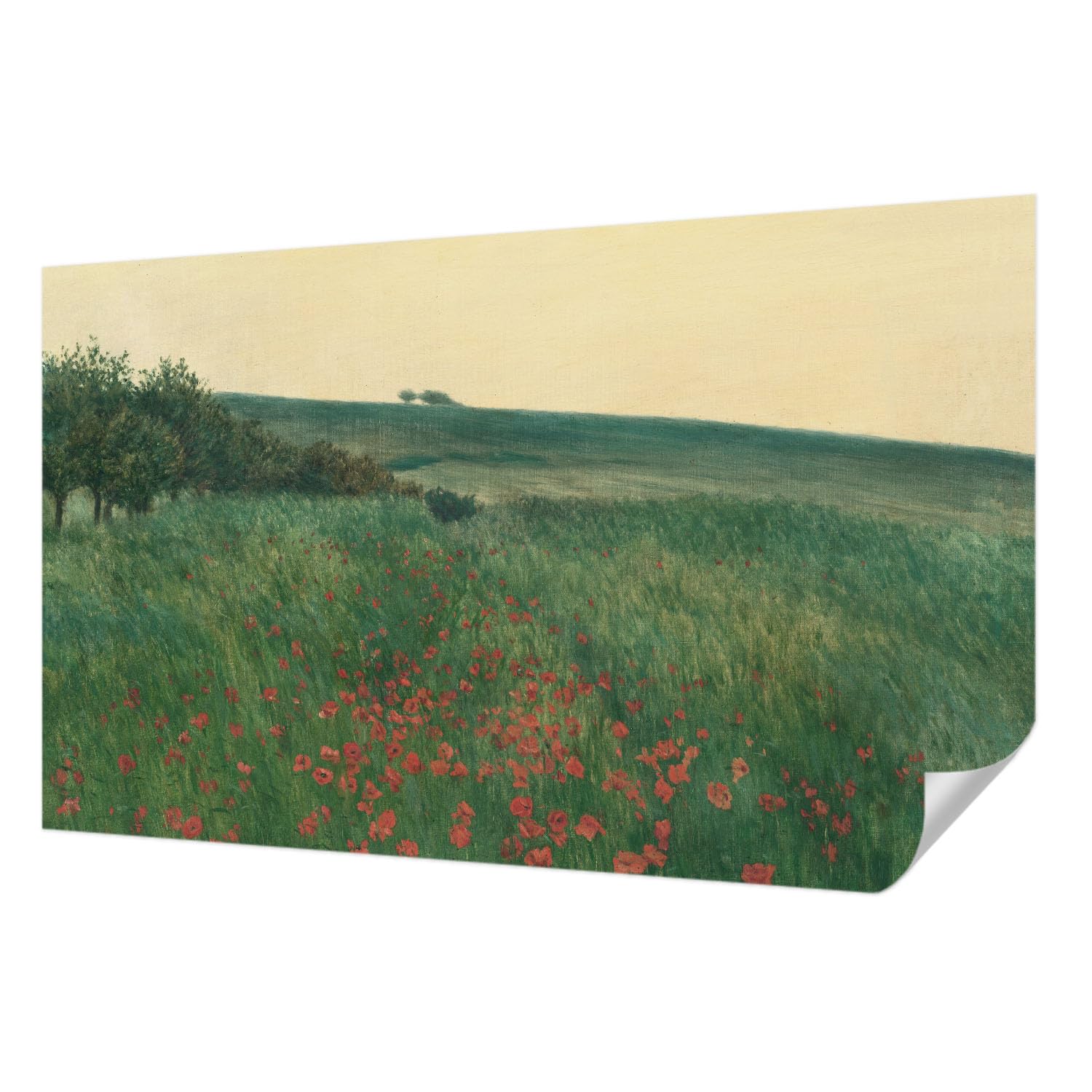Papier peint autocollant pour salon et chambre paysage panoramique de pavots 416x254