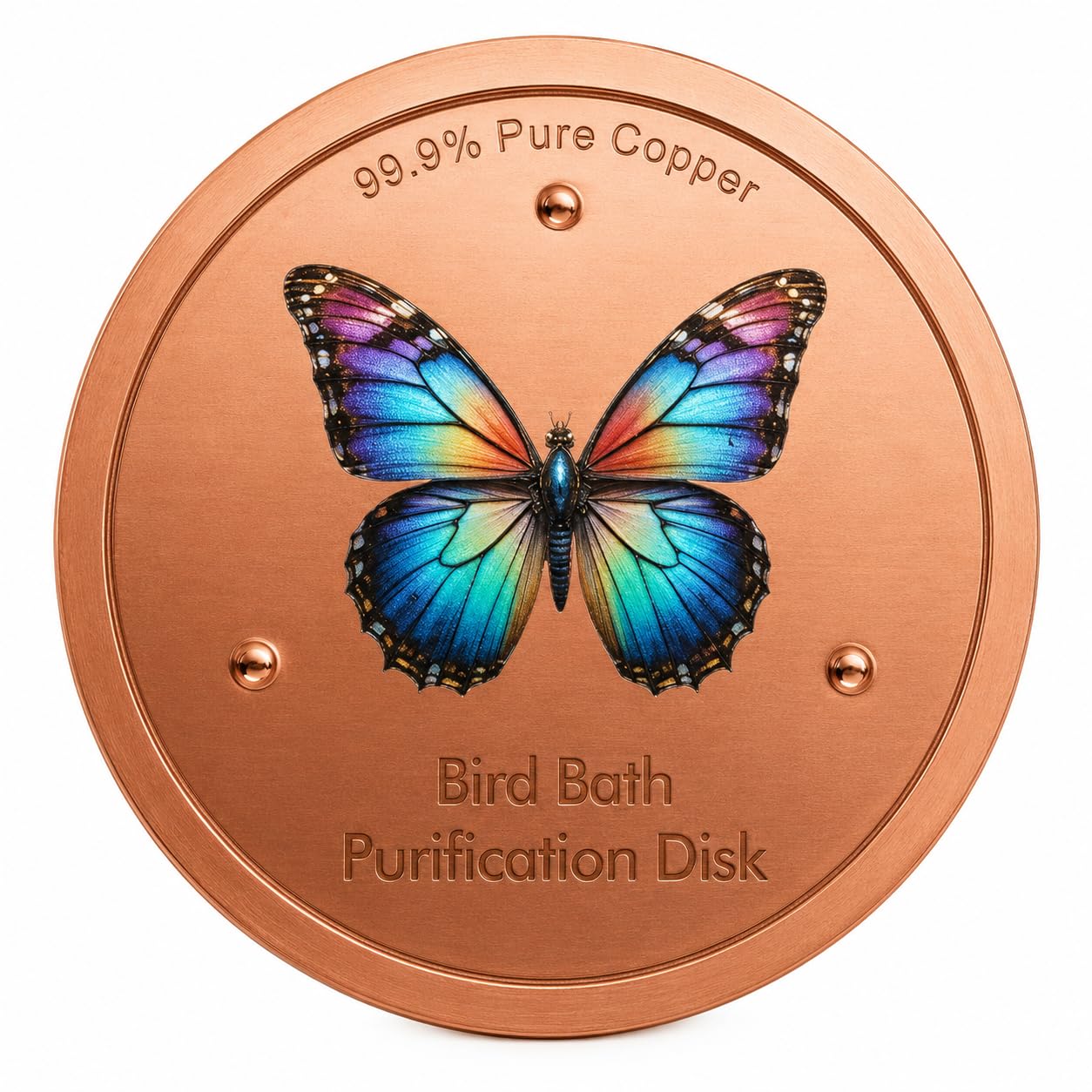 99% Pure Copper Disc for Bird Bath, Garden Fountain Water Care, 1 Pack