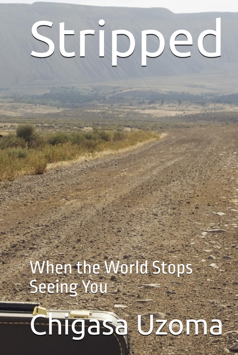 Stripped: When the World Stops Seeing You