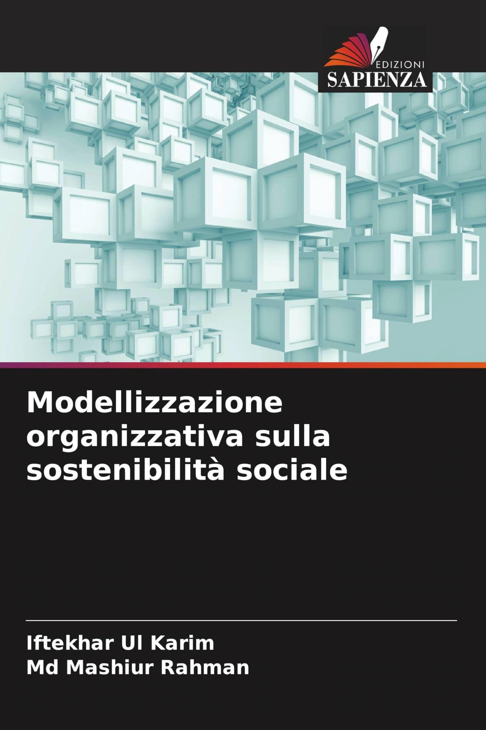 Modellizzazione organizzativa sulla sostenibilità sociale