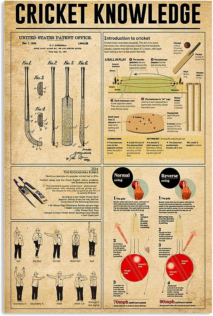 Cricket Instruction For Beginners Wall Art, Introduction For Cricket