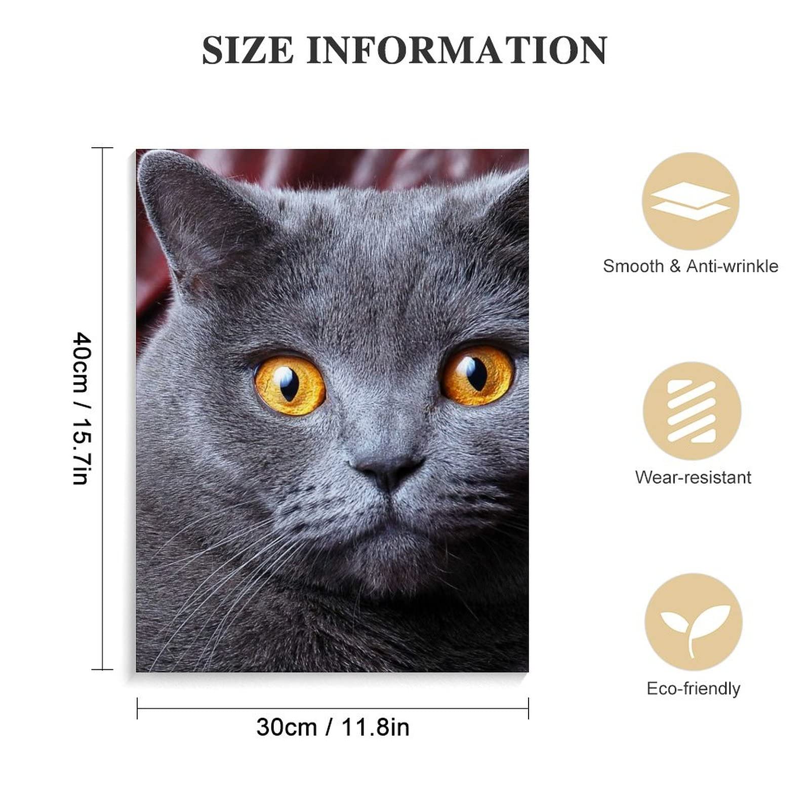 Amazon.co.jp: 猫 ブリティッシュ・ショートヘア アートパネル