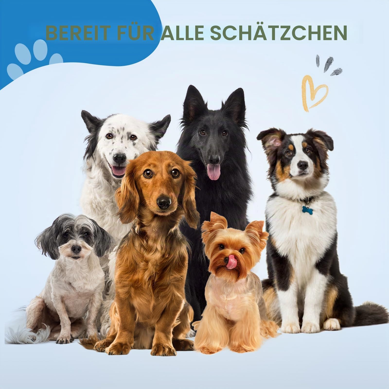 JASON Profi Fellschere für Hunde - 54 Zähne Effilierschere aus japanischem 440C-Edelstahl 7,5 Zoll Hundeschere mit ergonomishcen Griff, Roségold
