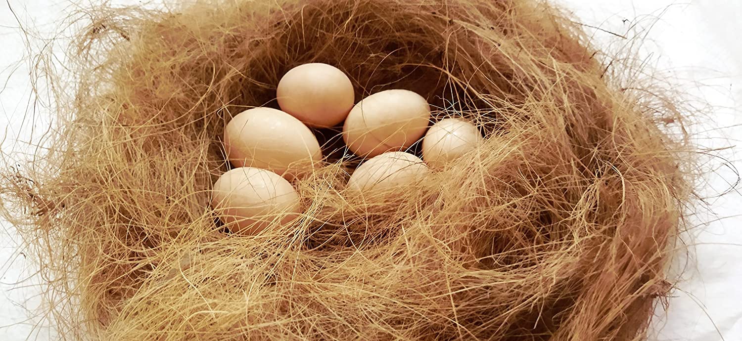 Generic Coconut Fiber Using for Garden and Birds Nest (1kg) (B09STPLP1L) Amazon Price History, Amazon Price Tracker