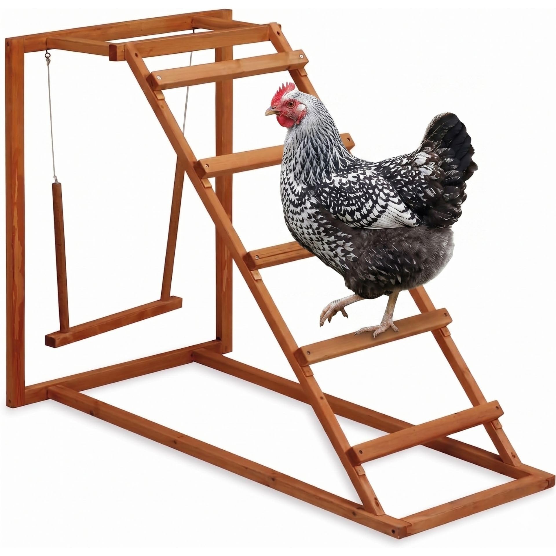 Agrarzone Scaletta per Polli con altalena - Torre gioco in legno Robusto 105x60x85cm - Ideale per galline, Attività e benessere - Facile Montaggio
