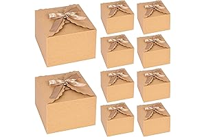 HONEYGIFTS 10PCS Gift Boxes for Sweets, Brown Paper Treat Boxes with Ribbon