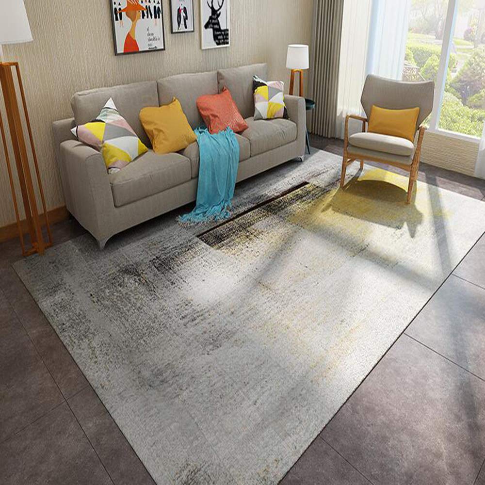 Tapis de salon lavable pour éliminer les taches facilement