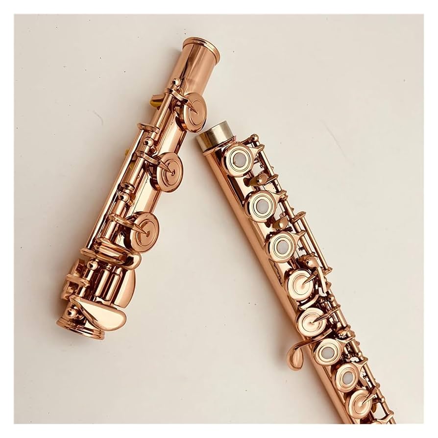 フルート　Enhong Amazon | Enhong フルート 16穴 Cキー 白銅ニッケルメッキ製