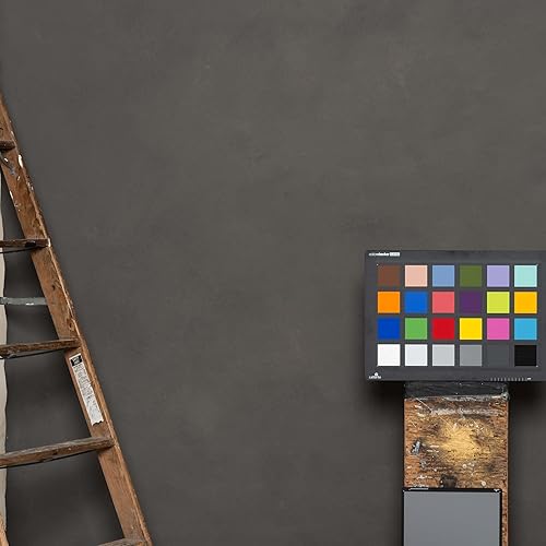 Miniatura 7 de Fondo pintado a mano de la colección clásica, gris cálido, XXL, 8.9 x 13 pies, fondo de textura baja