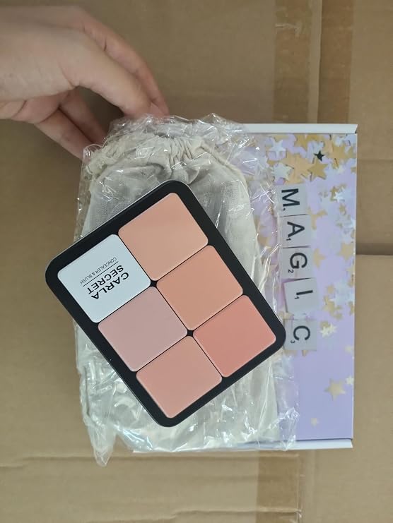 Joyeee Cream Concealer Palette/Blush Palette Kit, 2 In One Blendable Blush Concealer Contour Set with 11 Pcs Complete Makeup Brush and Storage Bag, High Impact Buildable Color, Vegan & Cruelty Free