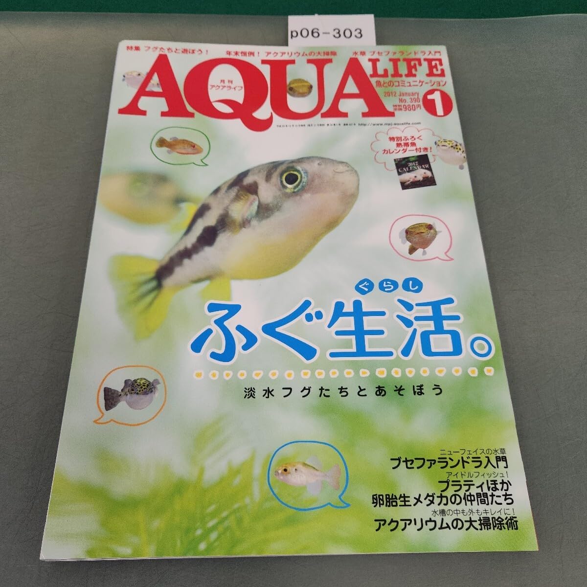 p06-303 月刊アクアライフ 2012 1 特集 淡水フグ 汽水フグ エムピージェー