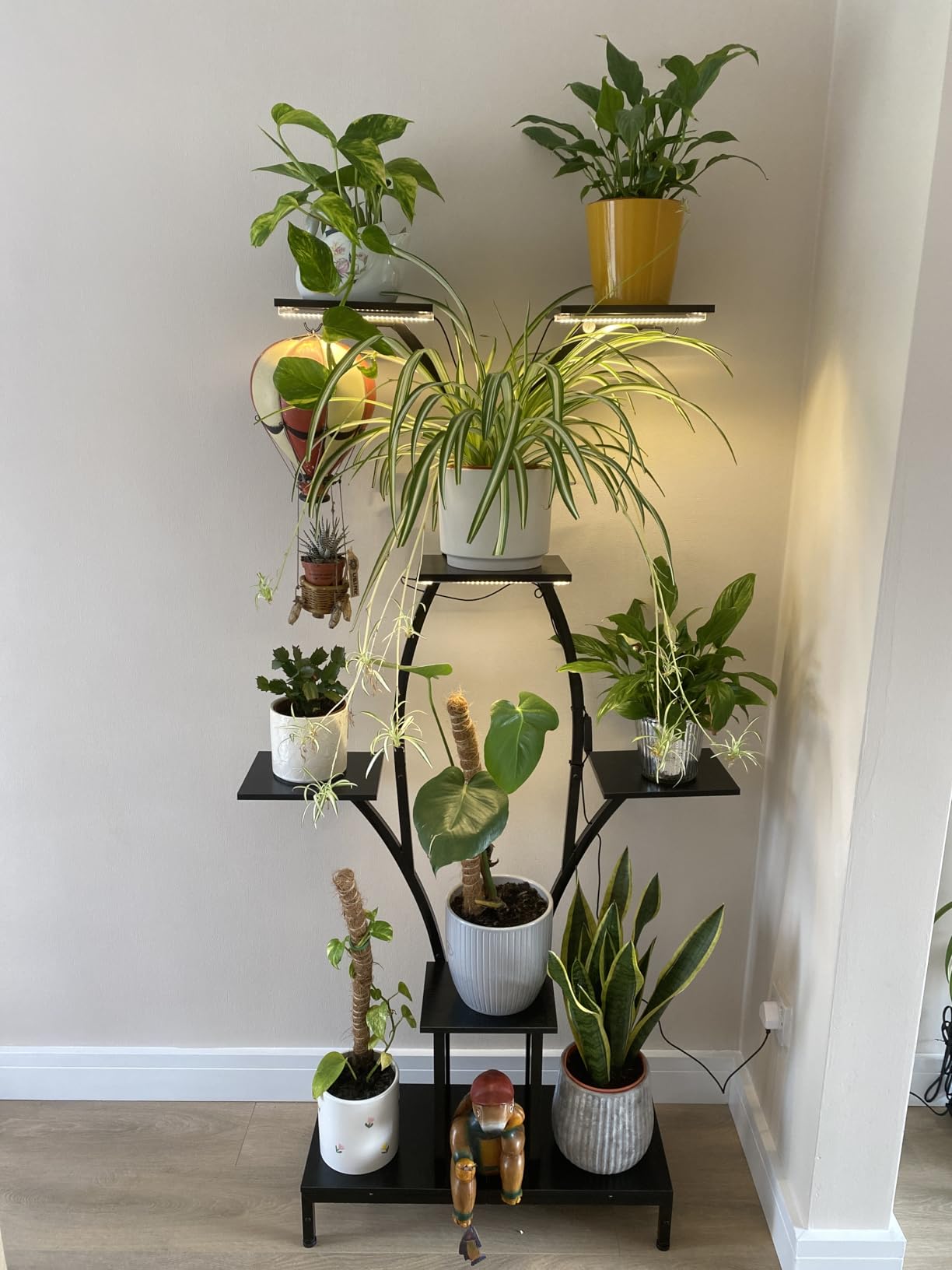 Customer photo