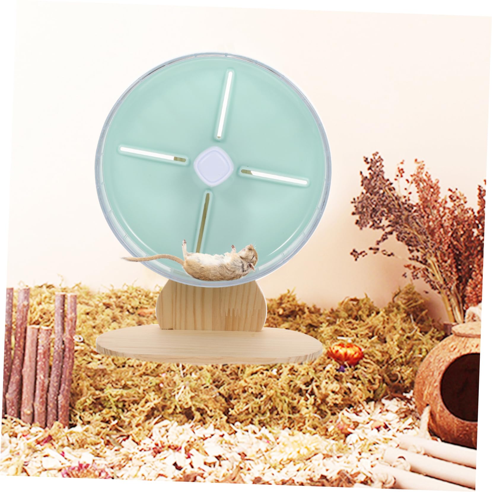 POPETPOP Roue De Course Silencieuse Décorative pour Hamsters Écureuils Chinchillas Et Souris