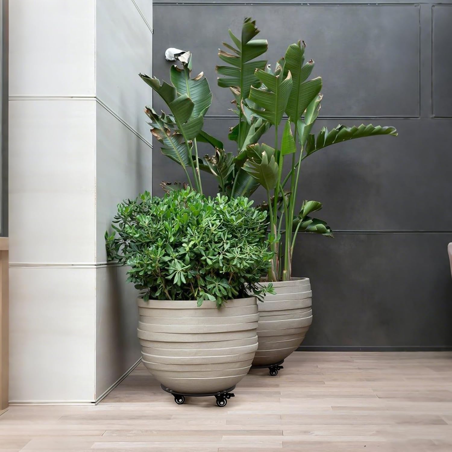 12‘’ Plant Caddy with Wheels 2PCS,Heavy Duty 3mm Thick Steel Rolling Plant Stand,Plant Pot Mover for Large Flower Pots and Planters, Plant Dolly,450lb