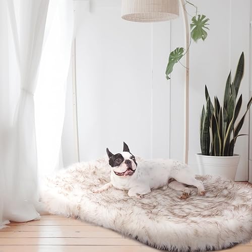 Miniatura 6 de Laifug Cama de lujo para perro de piel sintética, cama ortopédica ultrasuave de espuma viscoelástica de 5 pulgadas de grosor, con funda de piel