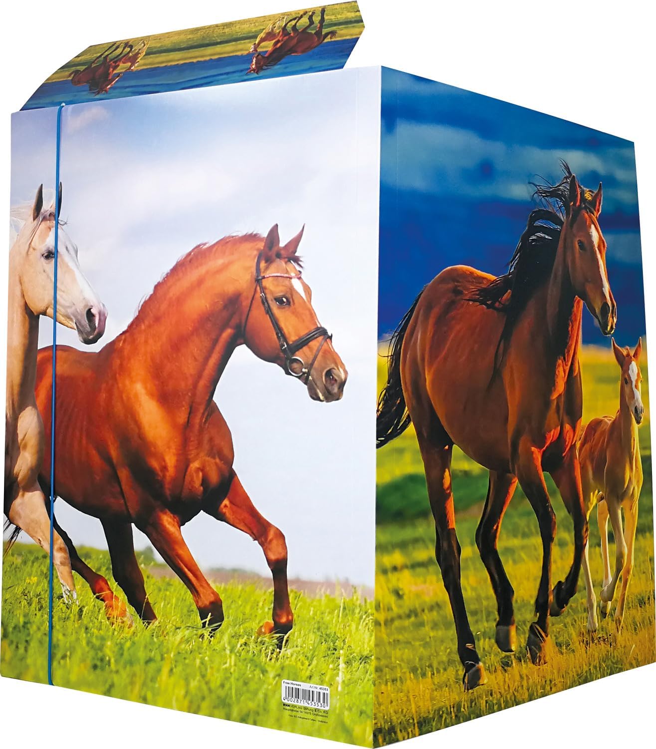 RNKVERLAG Free Horses 45353-3 Portfolio Folder 310 x 440 mm Pack of 3 DIN A3 with Elastic Closure