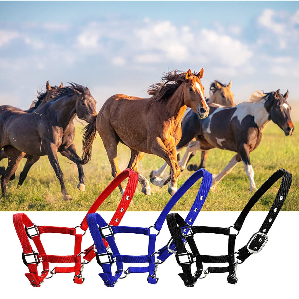 Capezza imbottita Pony Bridle Head Collar Regolabile in lega di zinco Equipaggiamento protettivo Indossare facilmente Forniture per cavalli Solidità, Blu, XL