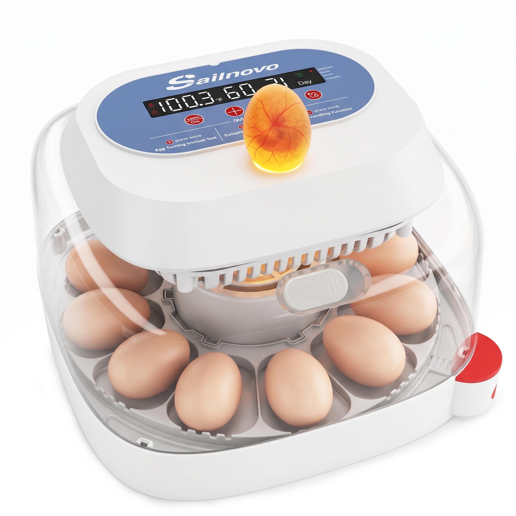 Sailnovo incubadora automática para 12 huevos, 4 modos para aves, con volteo automático, control de temperatura y alarma de humedad, incubadora para huevos de gallina, pato y codorniz (Azul)