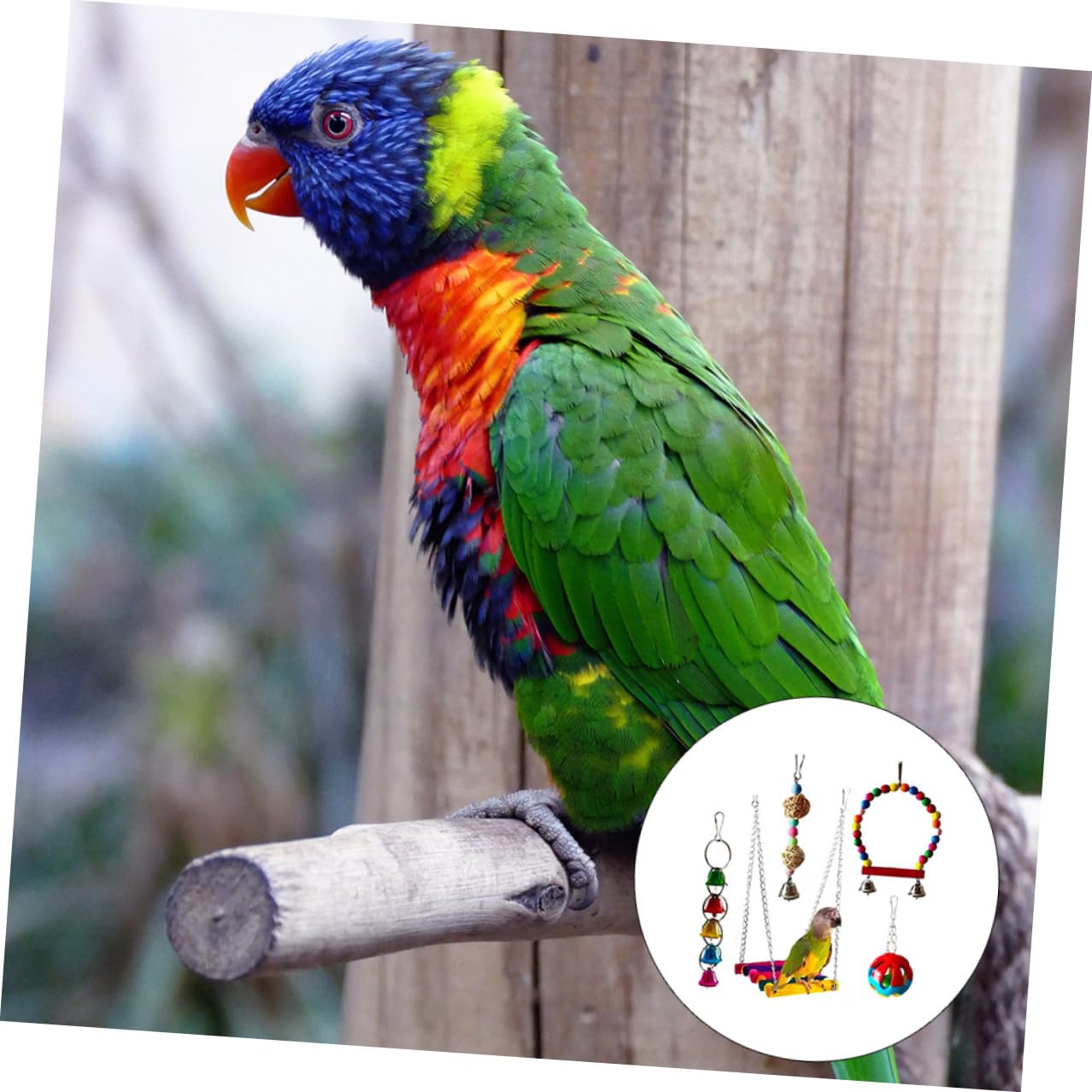 ibasenice 5 Piezas Juguetes para Morder Pájaros Juguete Masticable para Loros Suministros para Mascotas para Loros