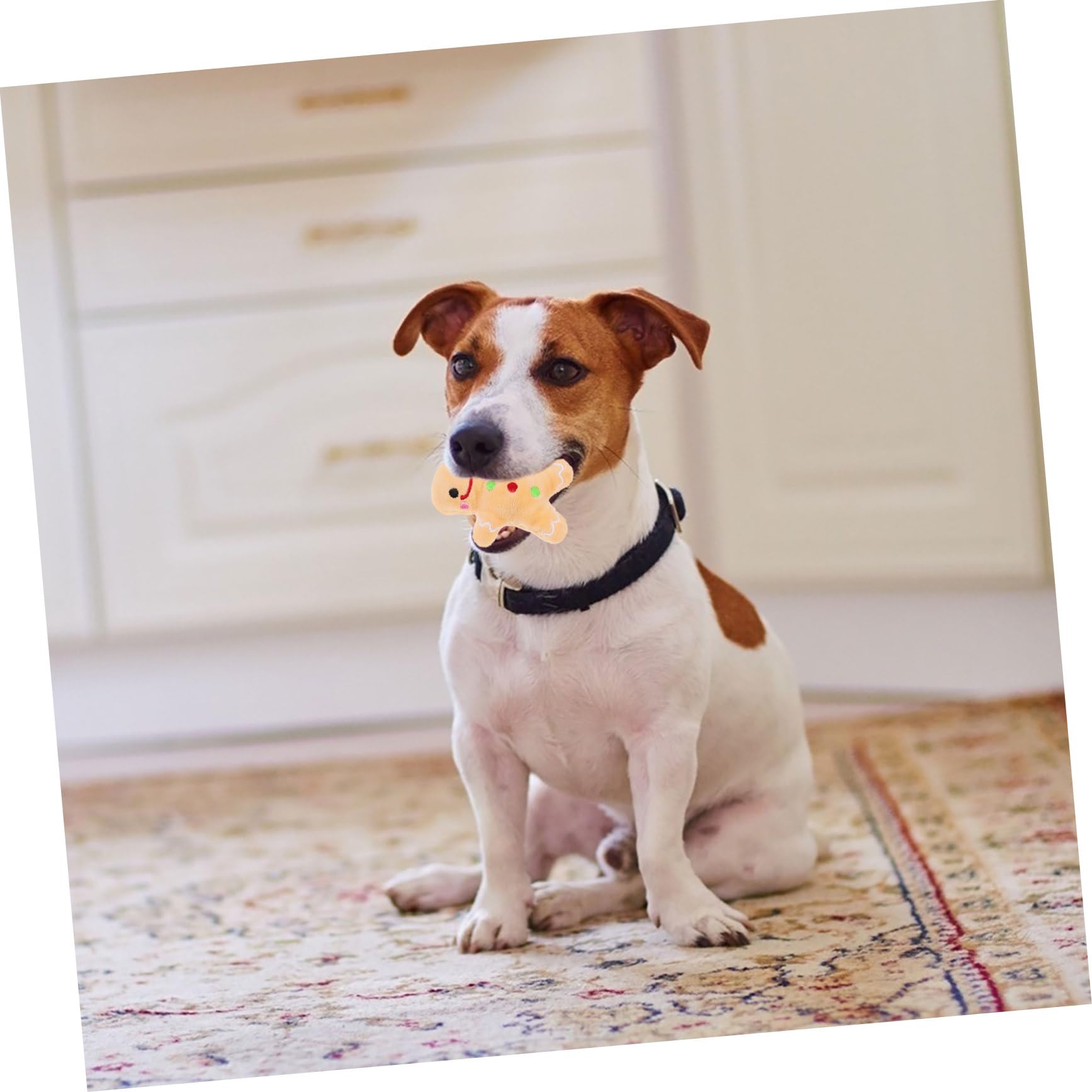 Jouet Peluche Chien à Mâcher pour Noël Nettoie Dents et Réduit Comportement Destructif Sûr